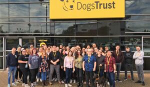 17 Interesting Initiatives From the Dogs Trust Contact Centre