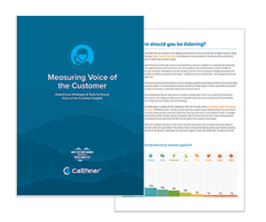 White Paper: Measuring Voice of the Customer