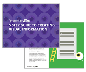 White Paper: 5-Step Guide to Creating Visual Information