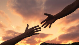 The Trevor Project Transitions to Full-Time Remote Working