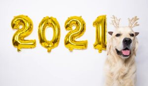 28 Great Contact Centre Tips to Start the New Year