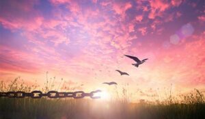 Where Are We With Customer Experience Transformation?