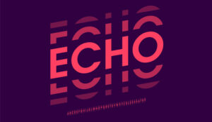 Understanding Telephone Echo