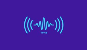 Voice Identification in the Contact Centre (and Beyond!)