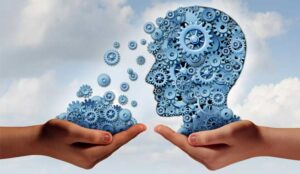 What Are the Key Principles of Knowledge Management?