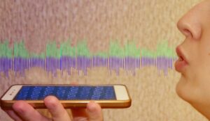 An Introduction to Voice Identification