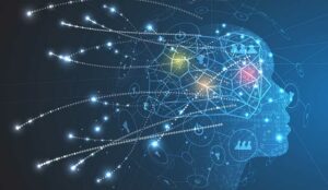 What To Bot and What To Not