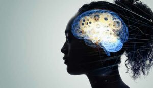 Why Choosing a Small ISV Makes Perfect Business Sense