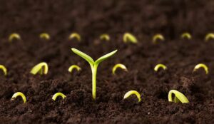 Alvaria Latin America Growth