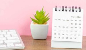 FTE Calculation For Monthly Volume