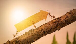 How to Improve Service Level in Your Call Centre