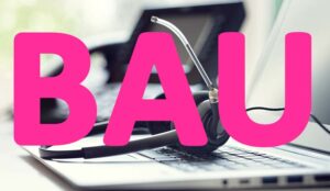 What Is Business as Usual (BAU)?