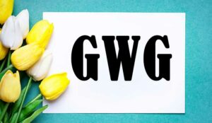 What Is a Good Will Gesture (GWG)?
