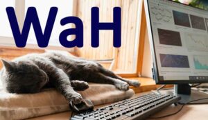 What Is Work at Home (WaH)?