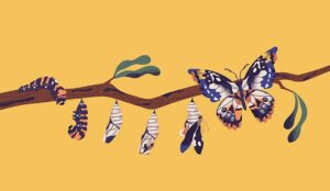 Six Steps to CX Transformation