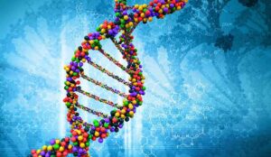 Collaboration Is in the DNA of Great Experiences and Engagement