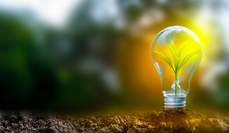 Sustainability concept with plant in lightbulb