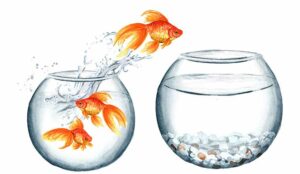 Top 10 Tips for Exceeding Customer Expectations