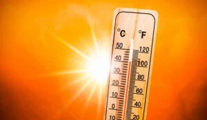 Hot technology for 2008?