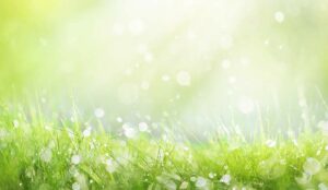 Are Your Agents Fresh and Focused for Each Call?