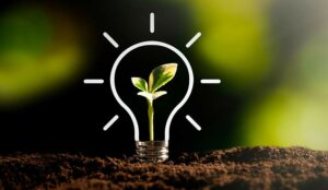 Sensée Wins Creative Campaign Award