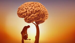 26 Best Practices for a Customer Service Knowledge Base