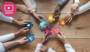 Two Types of Team Player