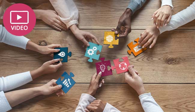 Video Image: What Sort of Team Player Are You?