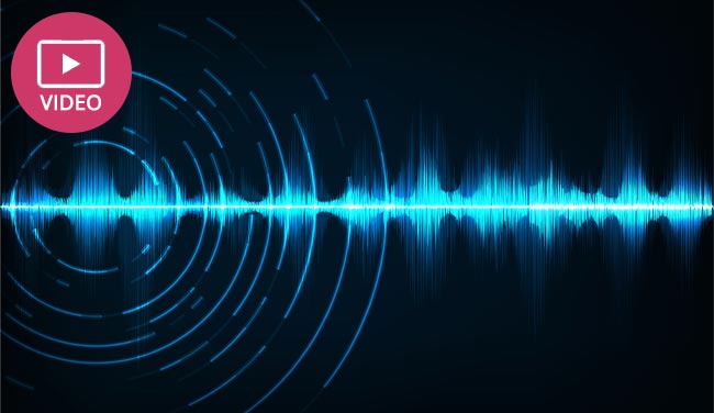 Video Image: Typical IVR Solutions