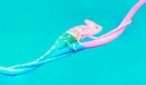 The Role of Technology in Creating a Culture of Adaptability