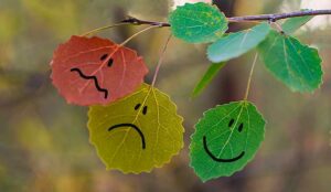 Building a Customer Experience Audit