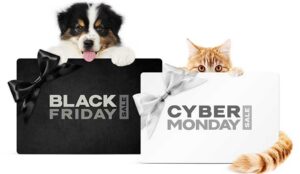 Using Black Friday and Cyber Monday to Your Advantage