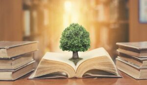 10 Best Practices for Customer Service Knowledge Management