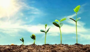 How to Use the GROW Model to Coach Your Agents