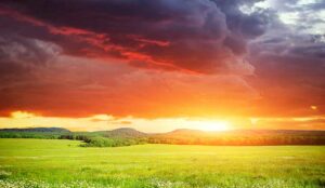 The Best De-Escalation Techniques