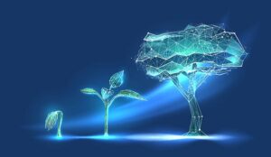 A Homegrown AI Solution Is Harder Than You Think