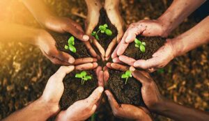 Cultivating a Culture of Employee Well-Being