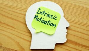 The Role of Intrinsic Motivation in Agent Engagement