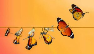 Transforming Customer Service Through Speech Automation and CCaaS