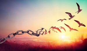 How AI Is Transforming Contact Centres