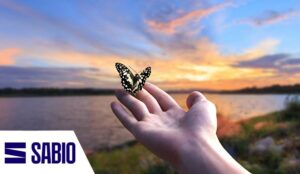 Unleashing CX in Amsterdam – A Round-Up