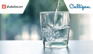 Case Study: Culligan Optimizes Customer Service ROI