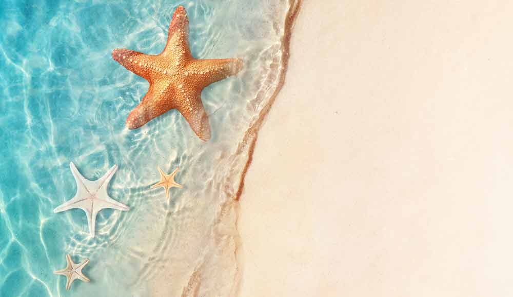 Starfish on the sand beach in clear sea water