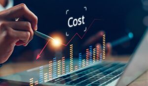 Cost Efficiency in Public Services: The Role of CCaaS in Budget Optimization