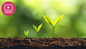 10 Expert Tips for Call Centre Coaching