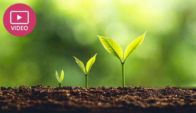 Video Image: Call Centre Coaching – 10 Experts Share Their Favourite Advice