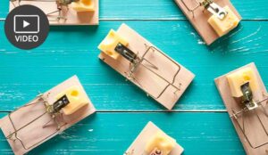 How to Avoid the Fairness Trap When Creating Schedules