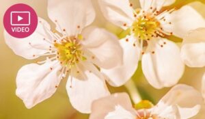 How to Bring Customer Journey Maps to Life