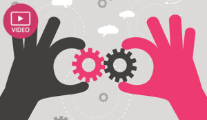 Steps to Creating ‘Super-Fan’ Customers