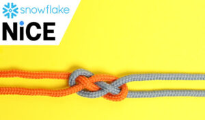 NiCE Partners With Snowflake to Streamline CX Data